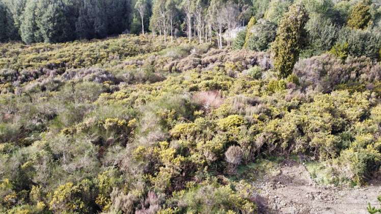 Maori Gully Road Arnold Valley_0