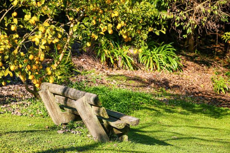 79 Gradara Avenue Otorohanga_26
