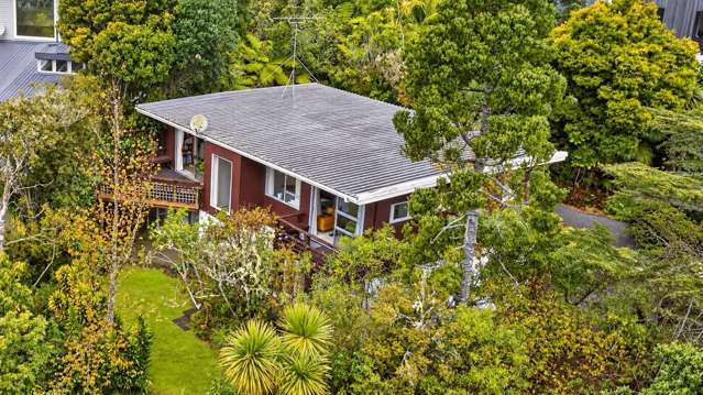 Hidden Amongst the Tui - A Castor Bay Opportunity