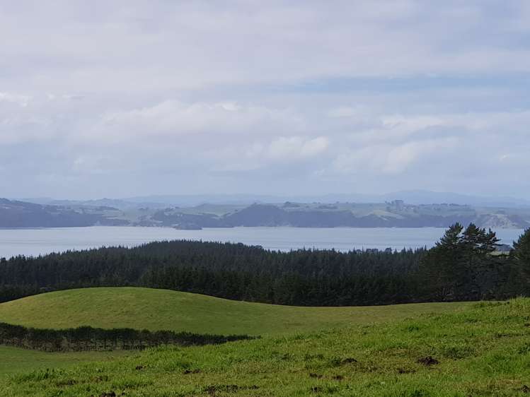 4969 Pouto Road Pouto_2