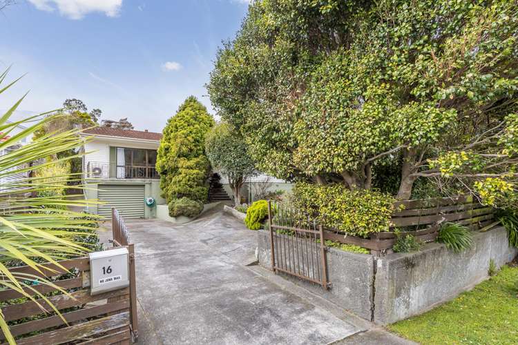 16 Handyside Street Tawa_0