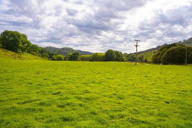 Kanakanaia Road Te Karaka_1