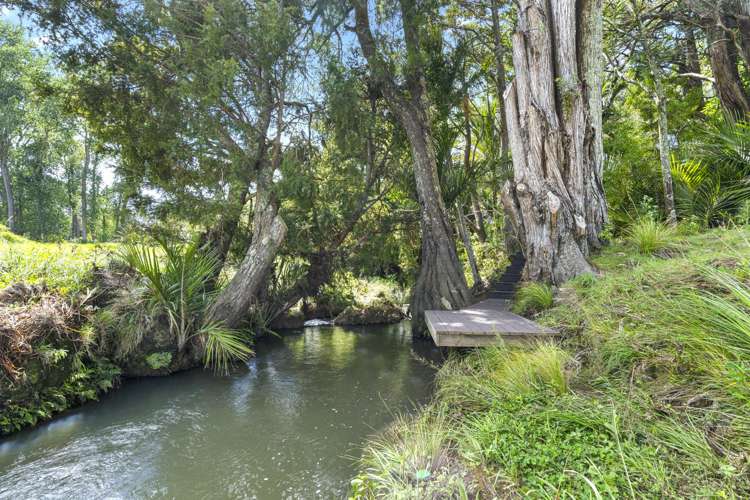 37 Ward Road Matakana_19