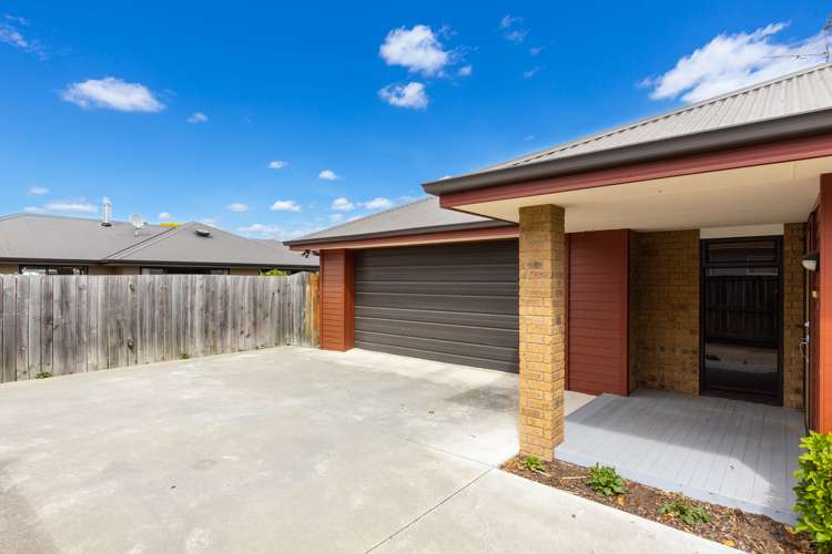53a Mowat Street Springlands_12