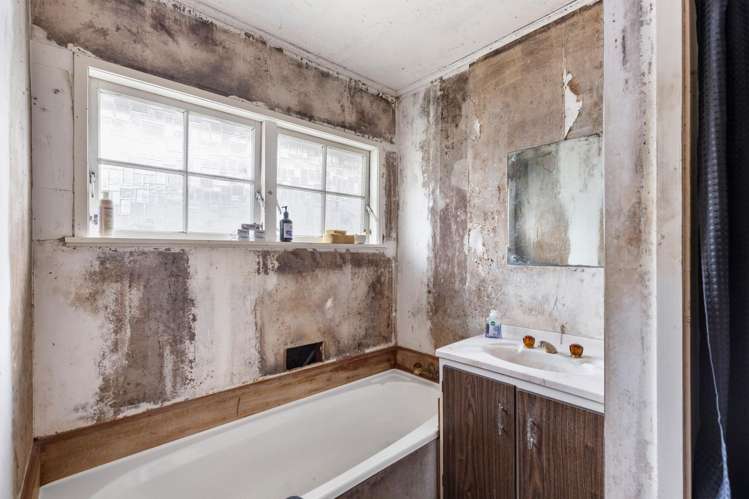 37 Burundi Avenue Clendon Park_8