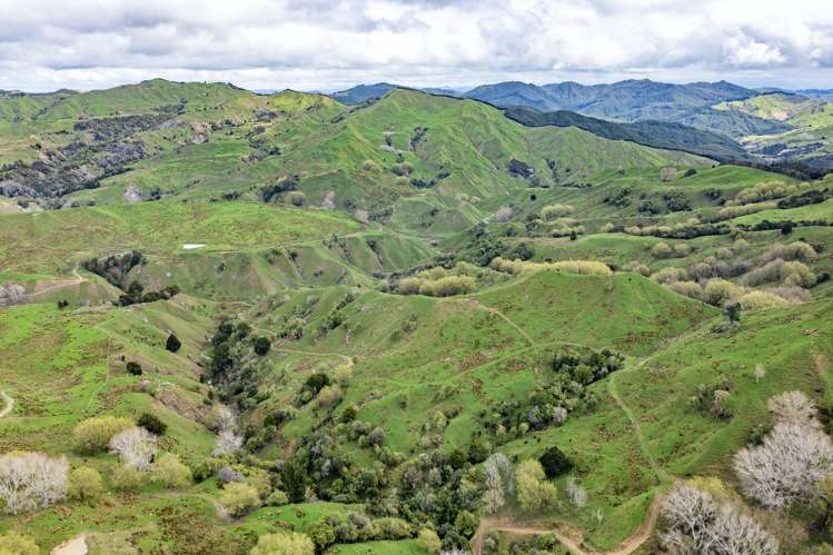 783 Glenroy Road Whangara_5