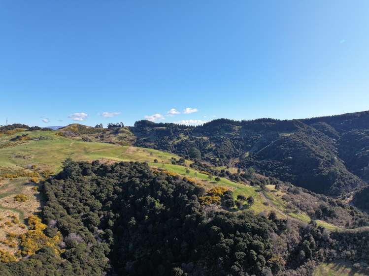 121 Silverstream Valley Road North Taieri_10