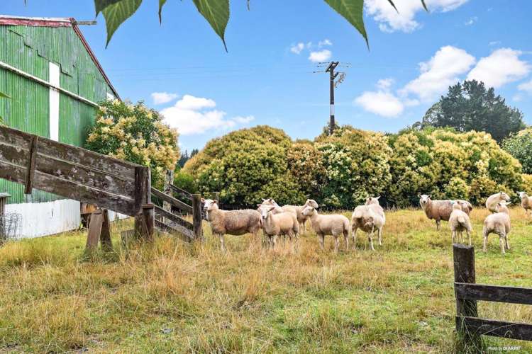 670 Monument Road Clevedon_17