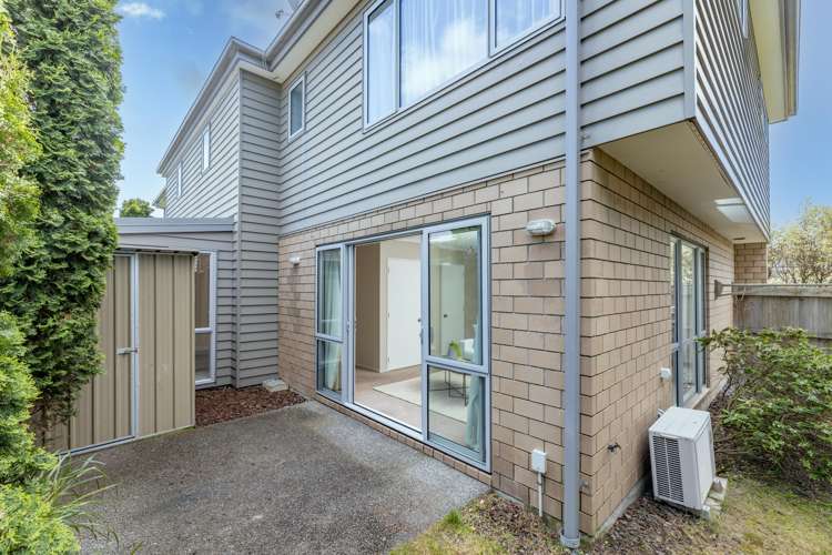 41c Austin Street Sydenham_10