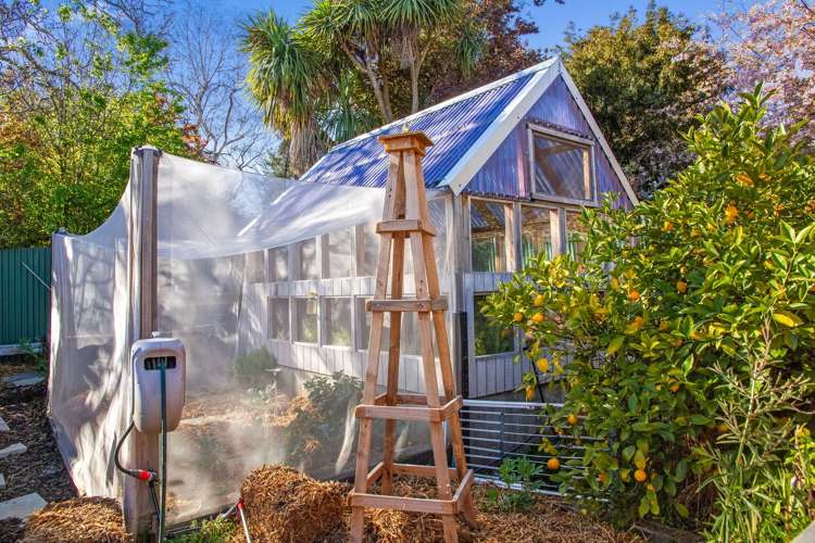 20 Nelson Terrace Seaview_25