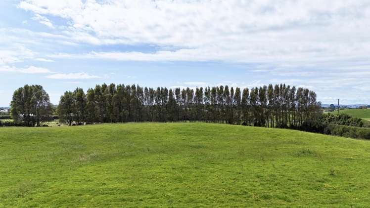 114 Dudley Road Upper Inglewood_14