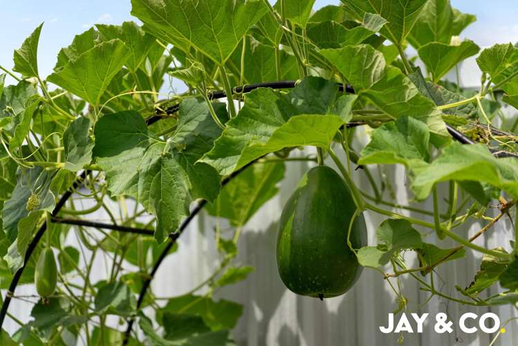 1/90 Kelvin Road Papakura_10