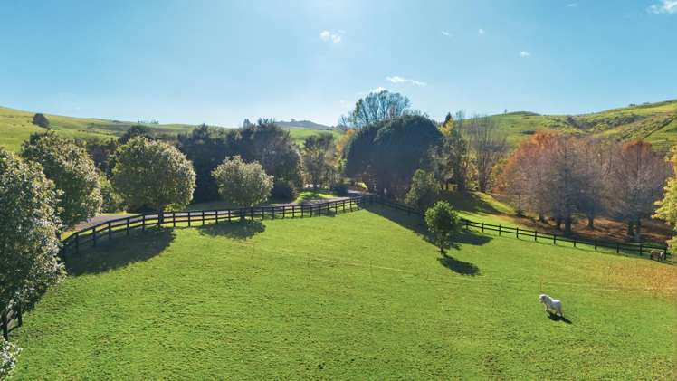 78 River Drive Kerikeri_28