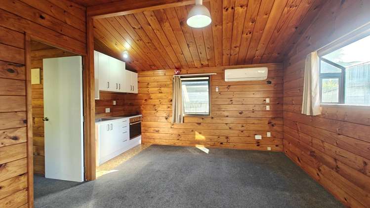 148 Astley Avenue New Lynn_20