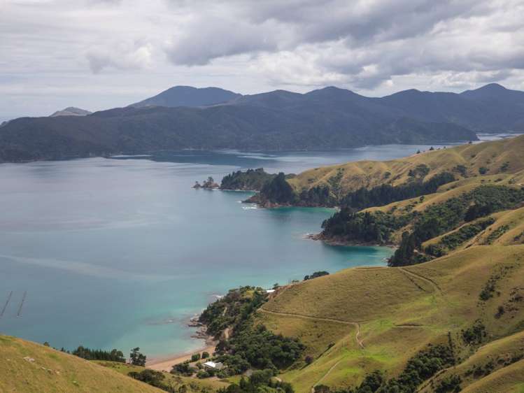 5193 Croisilles-French Pass Road Marlborough Sounds_10