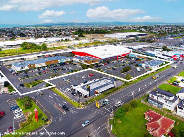 22 Stoddard Road Mount Roskill_1
