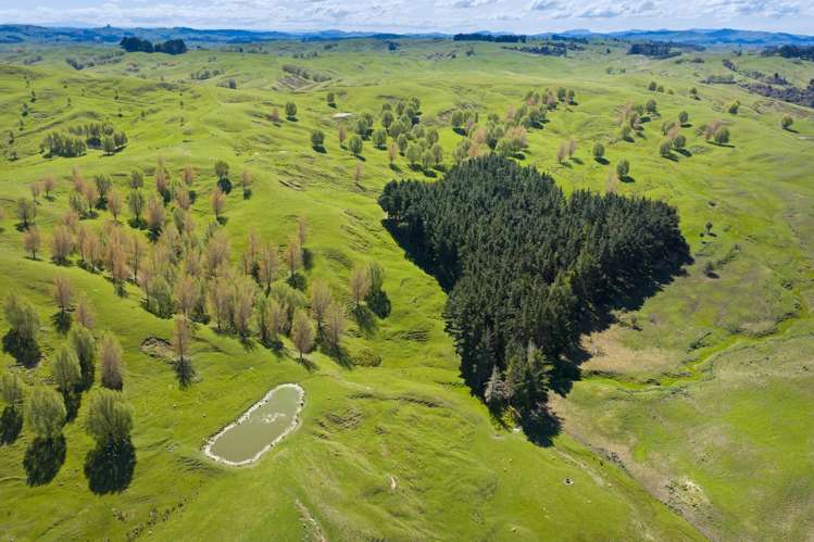 683 Bush Road Wallingford_29