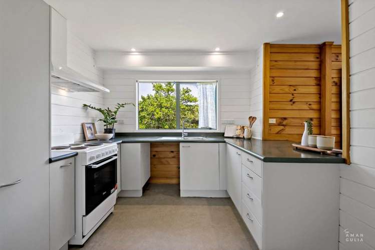 51 Wingate Street Avondale_3