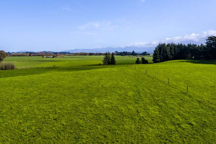 108 Pukewhai Road Pahiatua_10