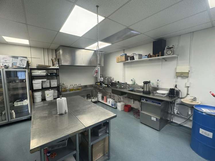 3/24 Essex Street Phillipstown_1