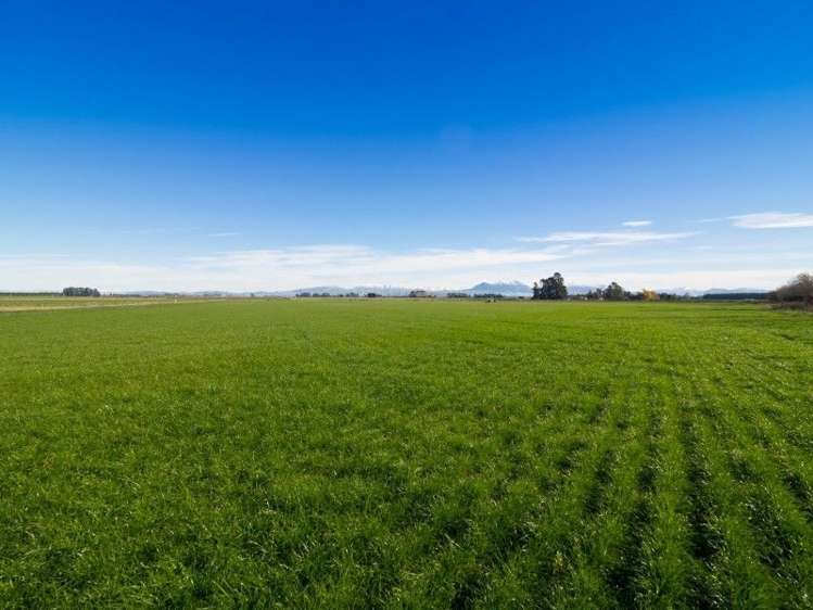 671 Hinds Lismore Road Lismore_1