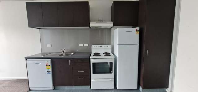  6G/15 Dixon Street Te Aro_2