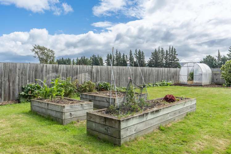 61 Murray Street Mosgiel_23