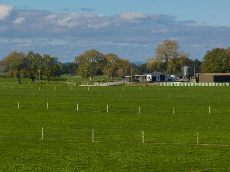 759 Kaipaki Road Ohaupo_13