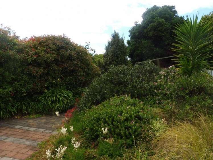 4 Lusk Street Te Kuiti_5