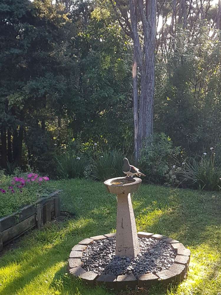 21 Brunton Place Glenfield_14