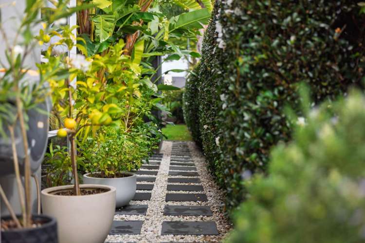 43 Chater Avenue Bethlehem_40