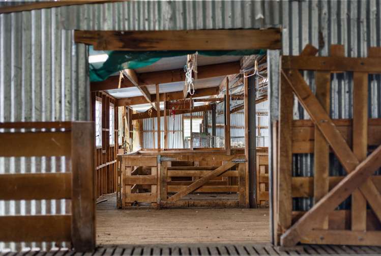 780 Falston Road Totara Peak_35