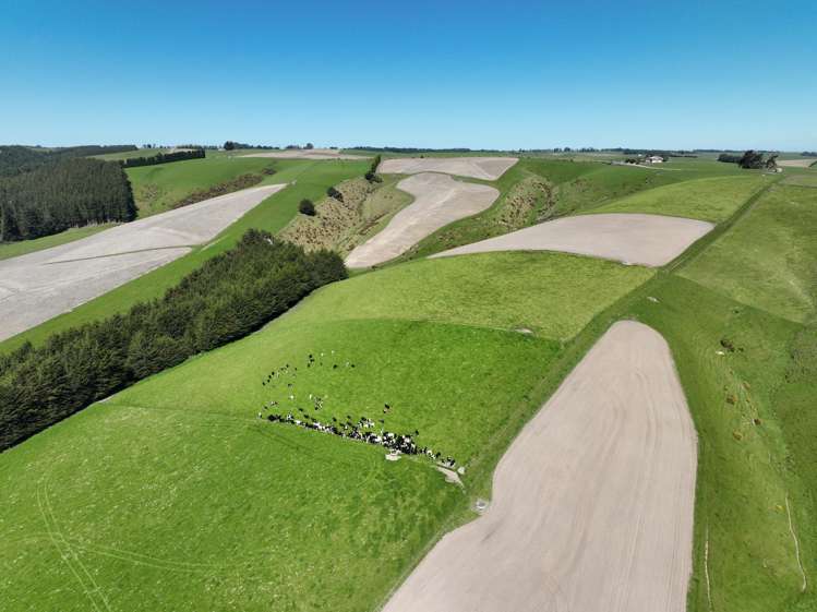 Beggs Track Hillend_12