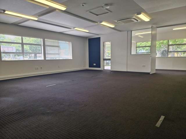 13 Clifton Road Hamilton Central_3