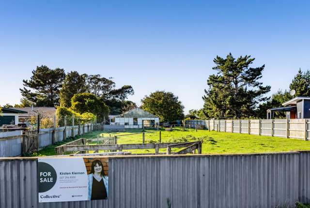 38 Bear Street Waverley_2