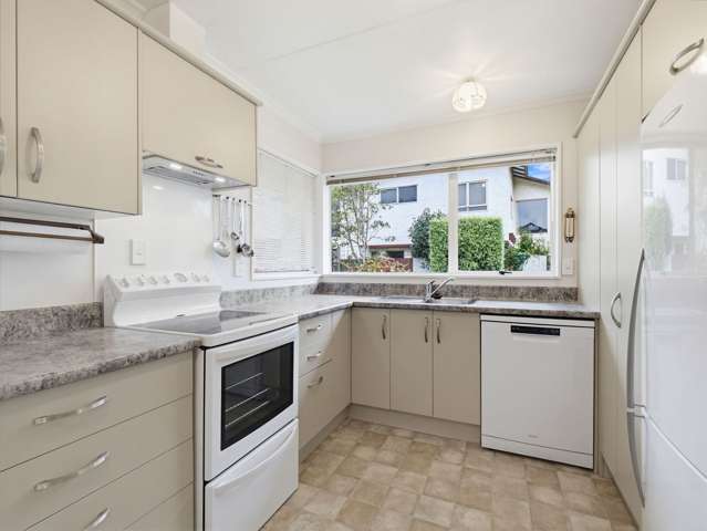 45 Dittmer Drive Awapuni_3