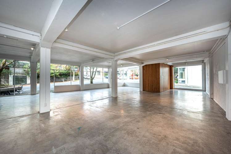 36 Karaka Street Eden Terrace_3