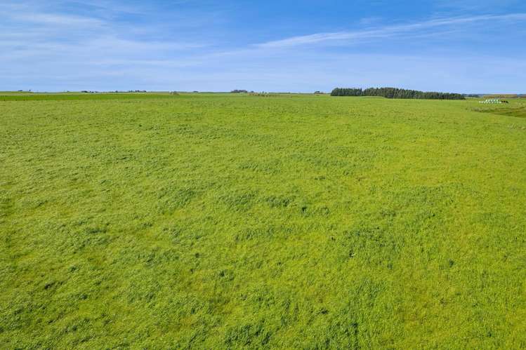 0n Mountain Road Normanby_14