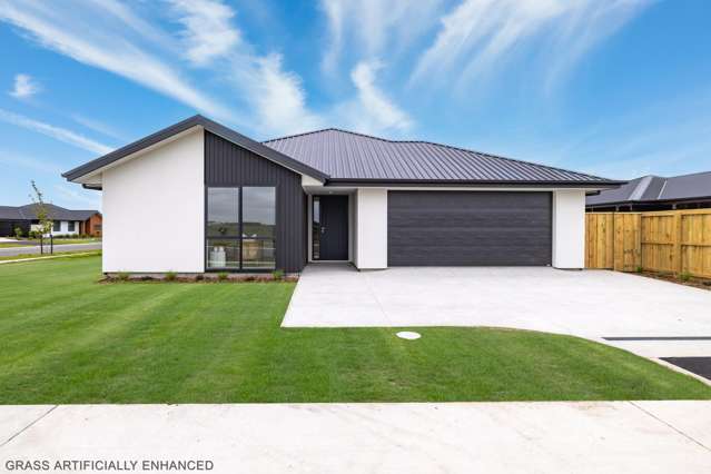Brand-New Expansive Family Home
