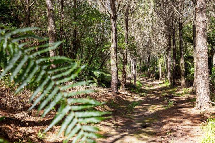 2 Sarona Park Drive Omanawa_13