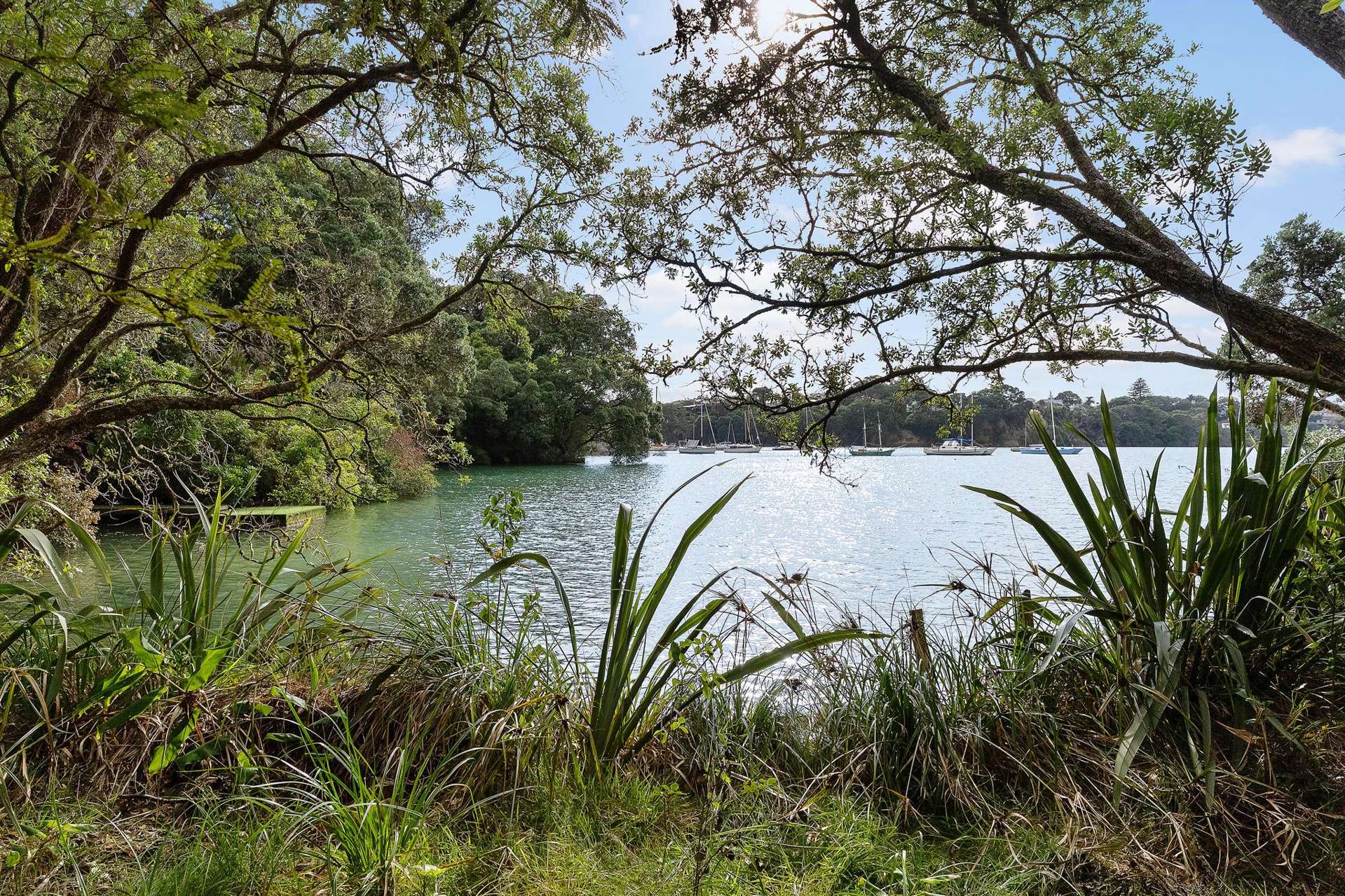 49 Hinemoa Street Birkenhead Point_0