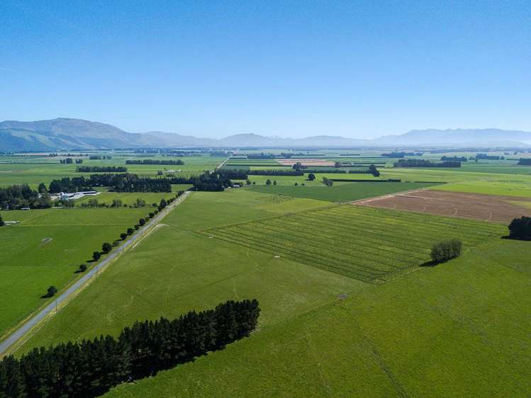 1710 Ealing Montalto Road Ashburton_6