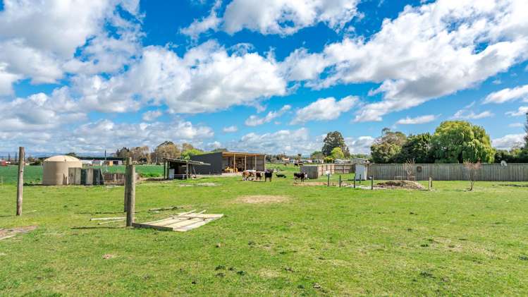 8 Barretts Road Seadown_18