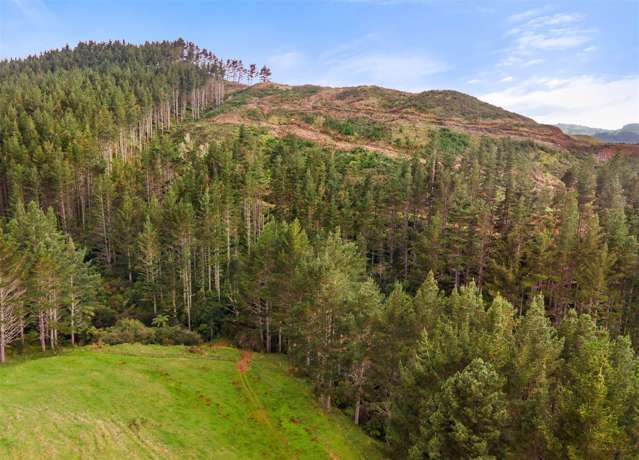 Waitete Road Waihi_2