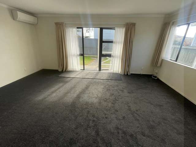 18a Michaels Avenue Ellerslie_1