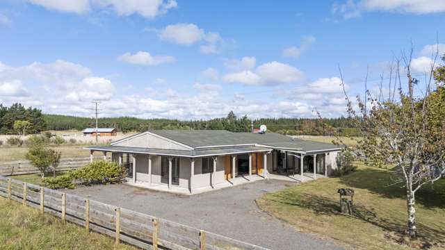 363 Brandon Hall Road Bulls_3