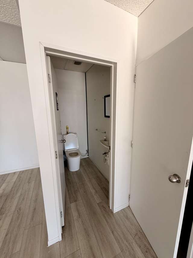 127 Newton Road Eden Terrace_3