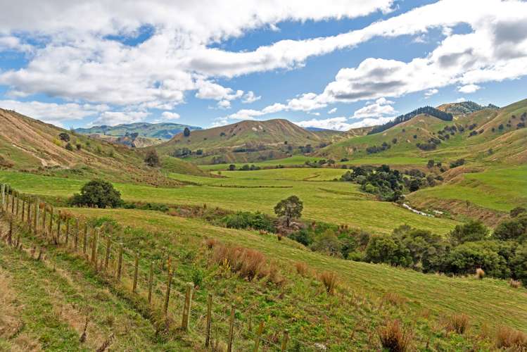 3643 Wharekopae Road Rere_2