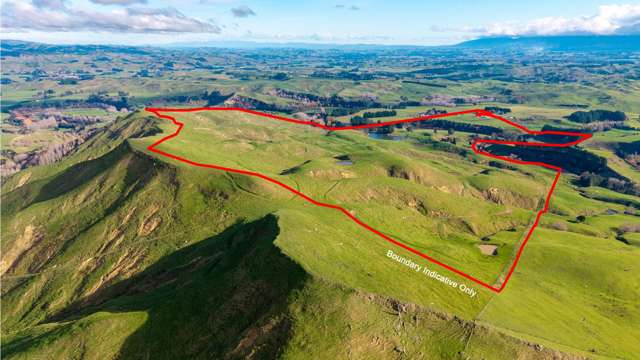 581 Maunga Road Dannevirke_1