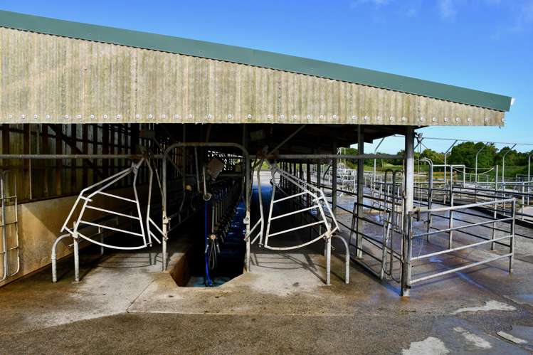 302 Kohaihai Road Karamea_6